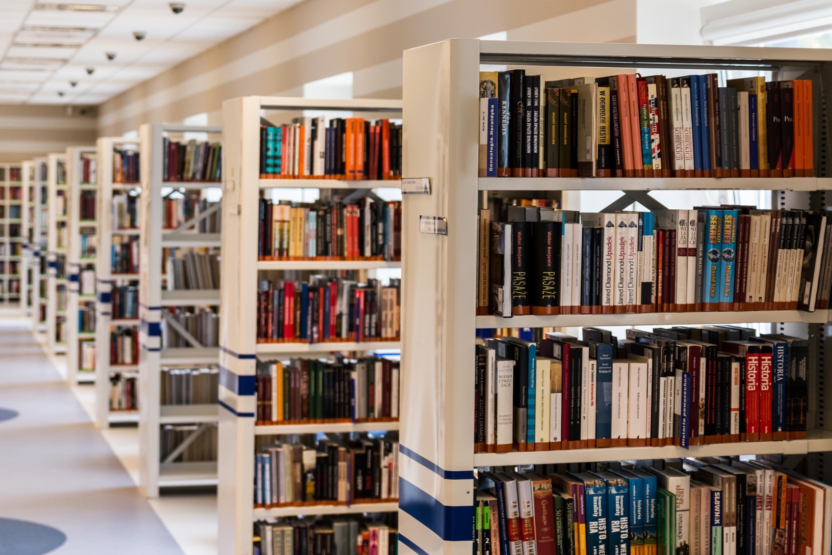 Rangées de livres dans une bibliothèque lumineuse, représentant l'inspiration littéraire et la découverte d'auteurs