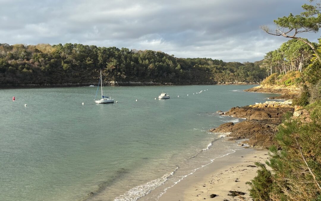 Quand le fleuve devient océanBalade d’automne du Port du Bélon à Kerfany-les-Pins