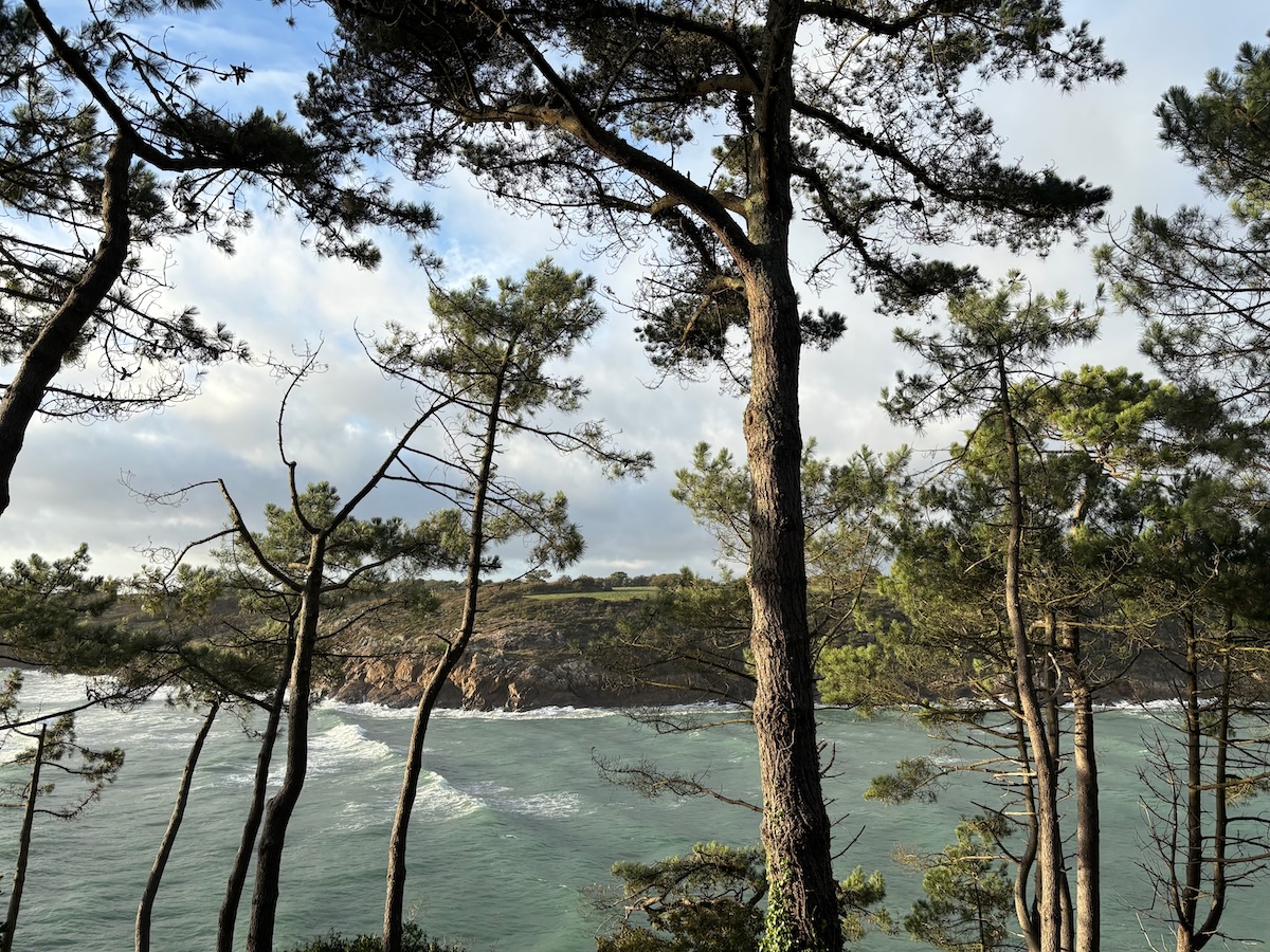 Embouchure du Bélon à Kerfany-les-Pins, entre fleuve et océan, balade côtière en Bretagne Sud