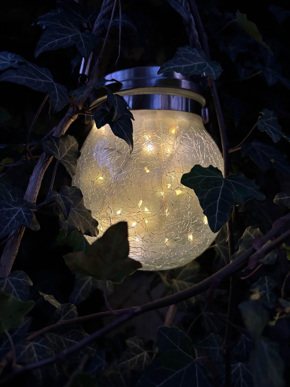 Lanterne éclairée entourée de lierre au crépuscule