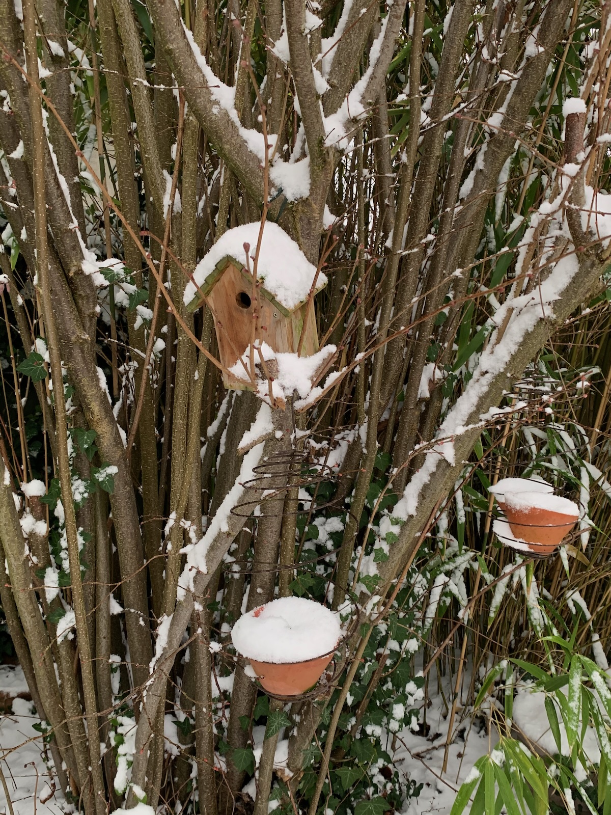 Nichoir en bois recouvert de neige dans le noisetier du jardin