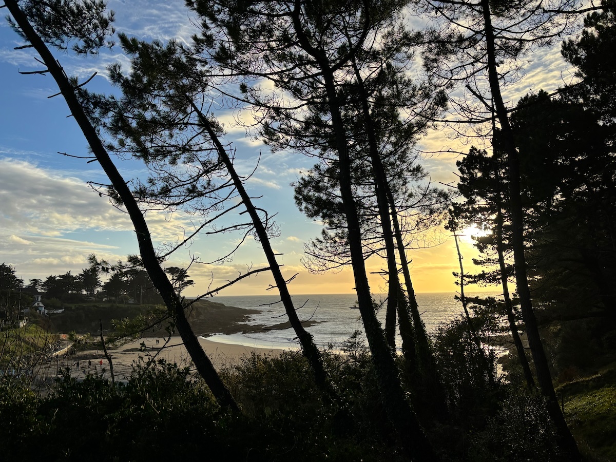 Plage de Kerfany-les-Pins en Bretagne sud, vue sur la mer à travers les pins, soir