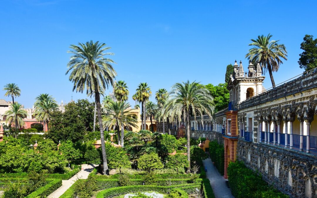 Kara et le fil de Tanit