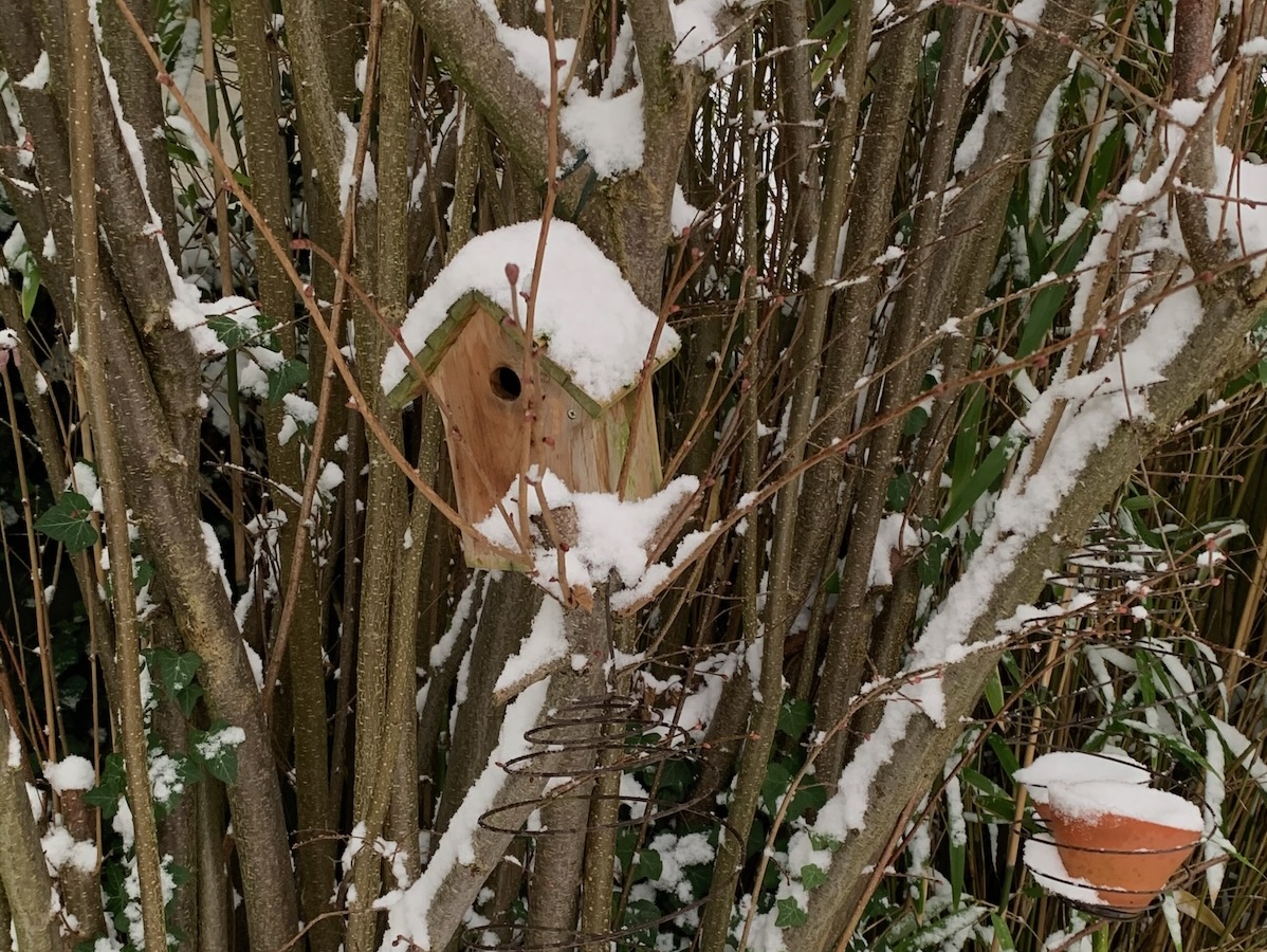 Nichoir en bois recouvert de neige dans le noisetier du jardin