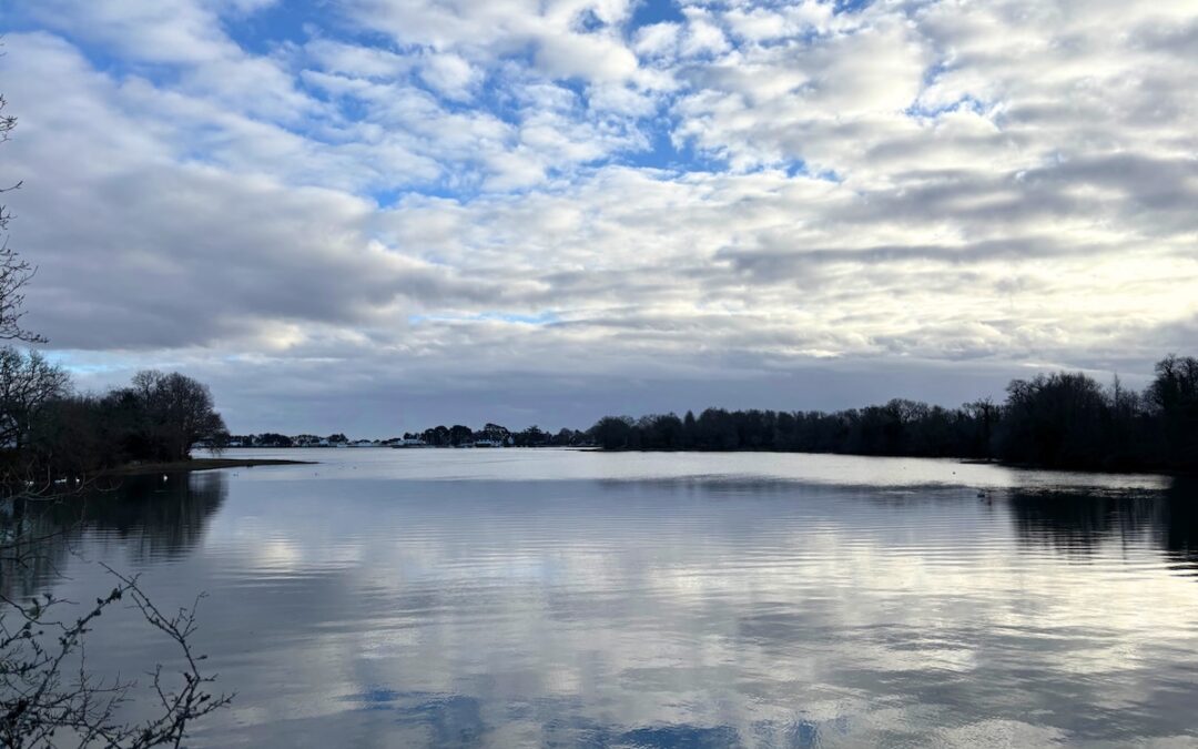 Eau calme et reflets changeantsBalade hivernale autour de l&rsquo;anse de Penfoulic