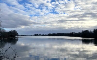 Eau calme et reflets changeantsBalade hivernale autour de l&rsquo;anse de Penfoulic