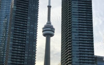 La fourmi de Toronto (petite leçon d&rsquo;estime de soi)