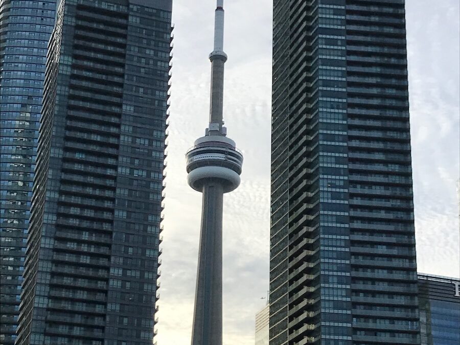 La fourmi de Toronto (petite leçon d&rsquo;estime de soi)