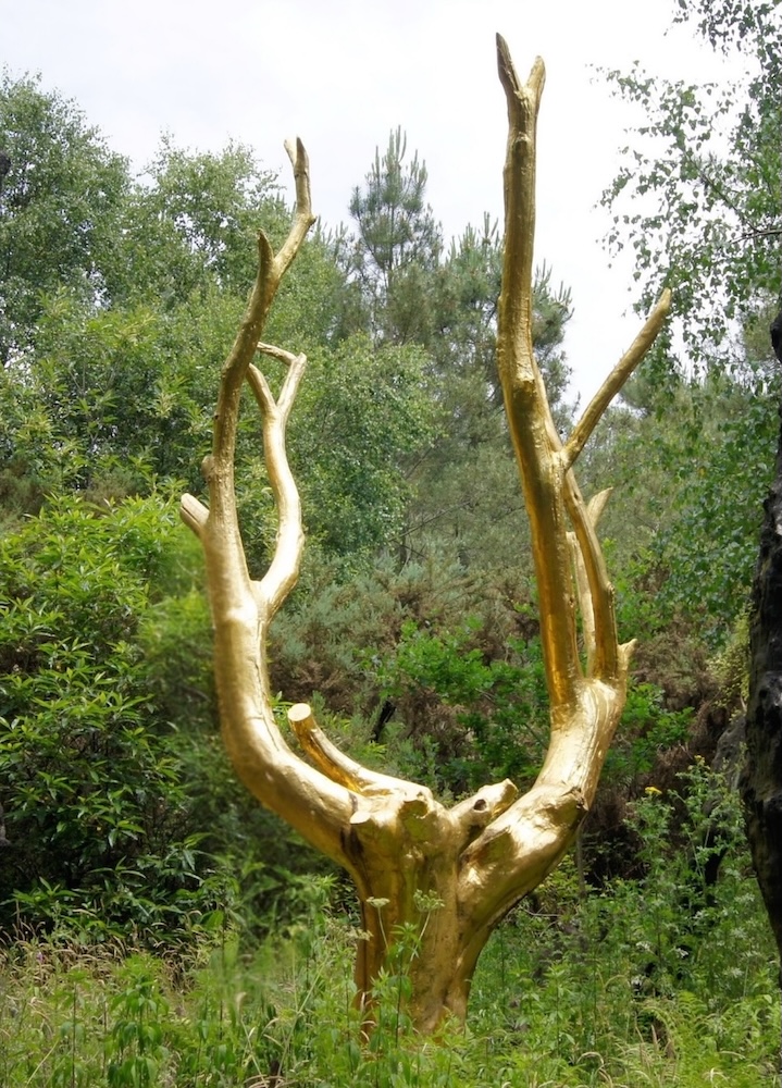 Arbre d’or du Val sans retour dans la forêt de Brocéliande en Bretagne